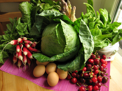 Radishes, lettuce, asparagus, spinach, cherries, eggs, cabbage