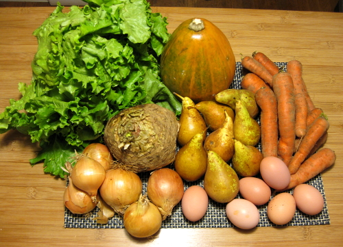 lettuce, winter squash, carrots, eggs, pears, celeriac, onions